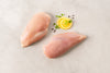 Chicken Breast Single Pack